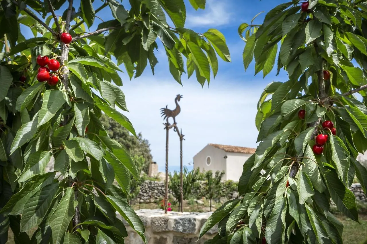 Gallicantu Stazzo Retreat Luogosanto Hotel