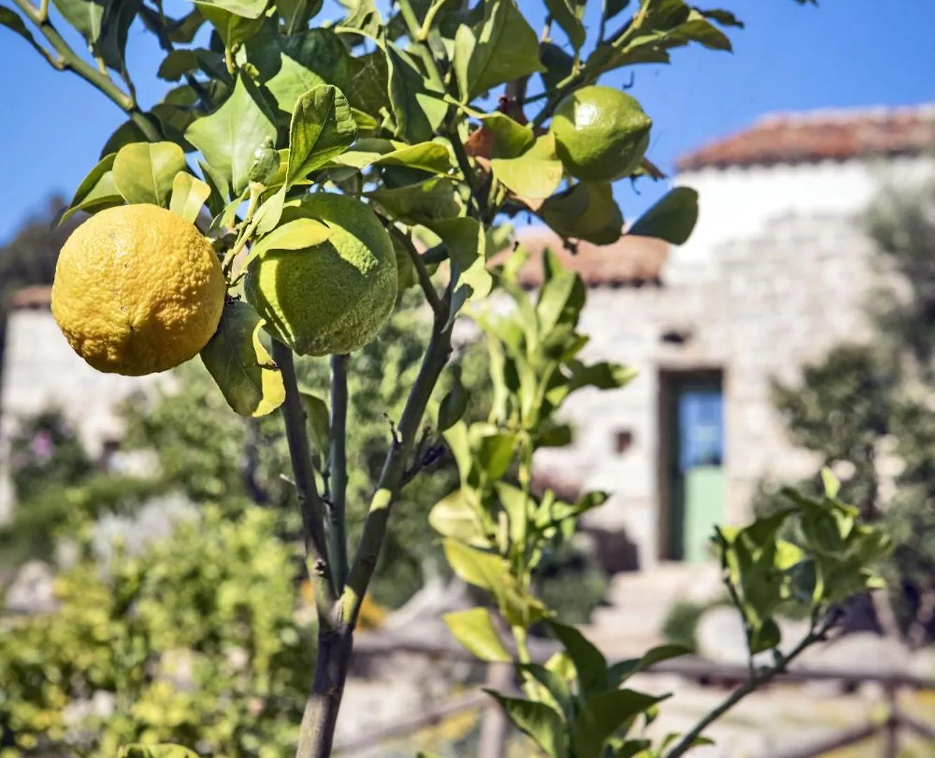 Gallicantu Stazzo Retreat Luogosanto Hotel